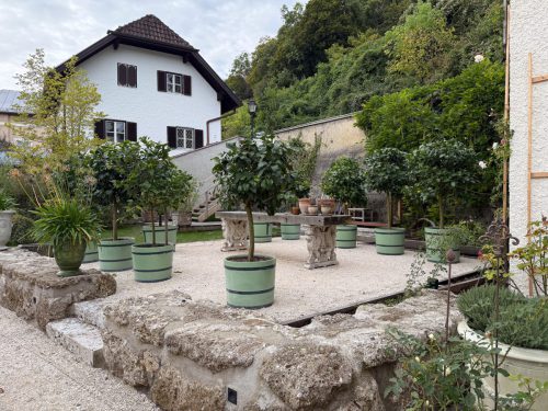 Ira-Schwarz-Dieter-Mann-Garten-Brunnhausgasse-Okt13