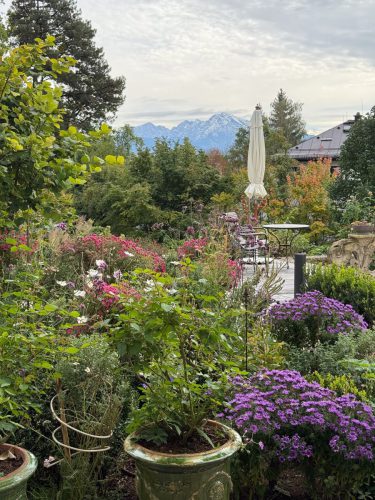 Ira-Schwarz-Dieter-Mann-Garten-Brunnhausgasse-Okt17