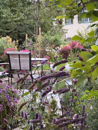 Ira-Schwarz-Dieter-Mann-Garten-Brunnhausgasse-Okt4