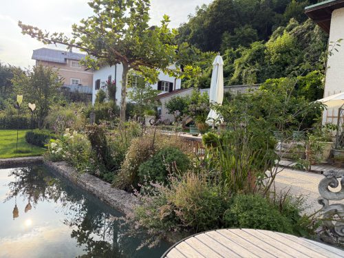 Ira-Schwarz-Dieter-Mann-Garten-Brunnhausgasse-Juli2