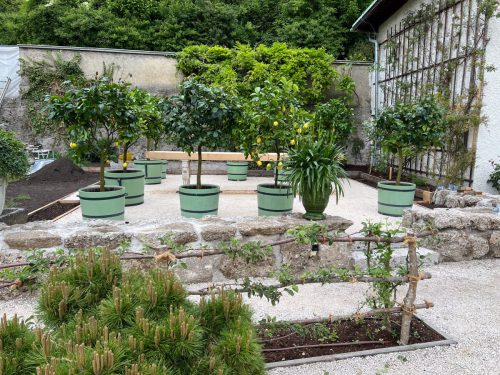 Ira-Schwarz-Dieter-Mann-Garten-Brunnhausgasse-Mai12