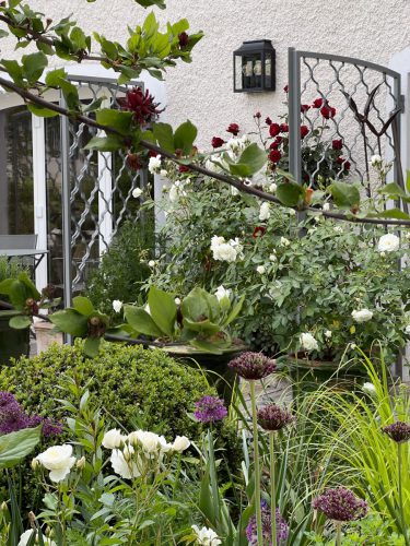 Ira-Schwarz-Dieter-Mann-Garten-Brunnhausgasse-Mai16