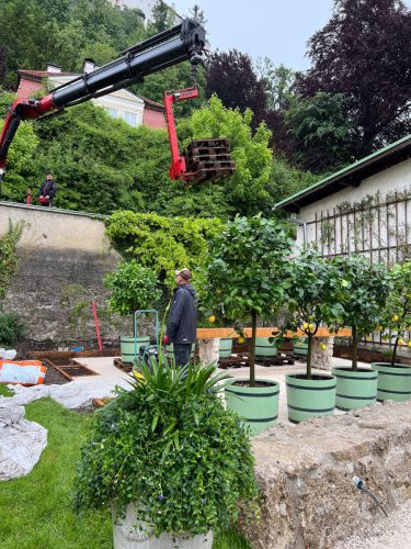 Ira-Schwarz-Dieter-Mann-Garten-Brunnhausgasse-Mai8