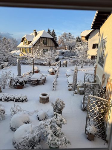 Ira-Schwarz-Dieter-Mann-Garten-Brunnhausgasse-Dez12