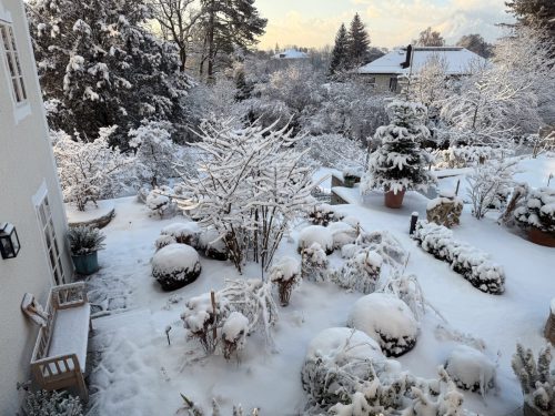 Ira-Schwarz-Dieter-Mann-Garten-Brunnhausgasse-Dez14