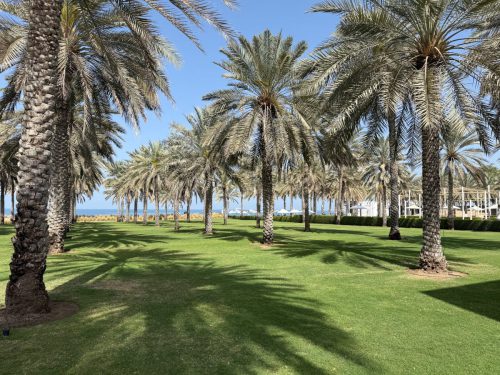 Ira-Schwarz-und-Dieter-Mann-Oman-2026 10