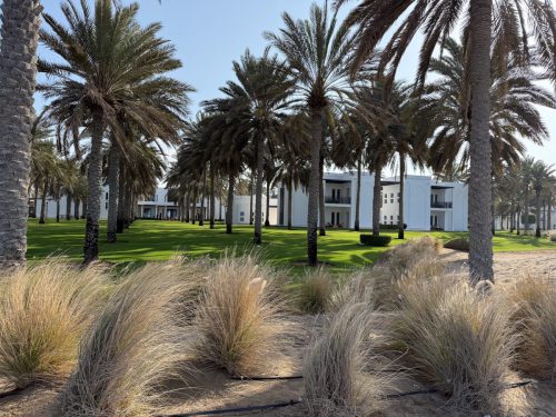 Ira-Schwarz-und-Dieter-Mann-Oman-2026 18