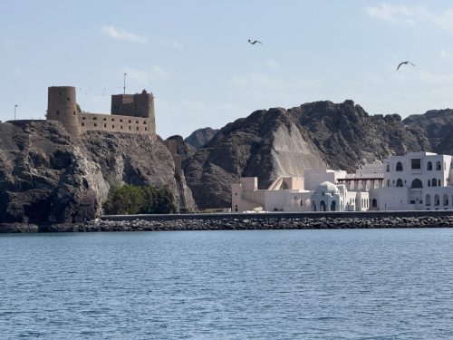 Ira-Schwarz-und-Dieter-Mann-Oman-2026 19