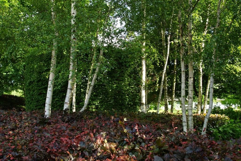 Ira Schwarz, Offener Garten